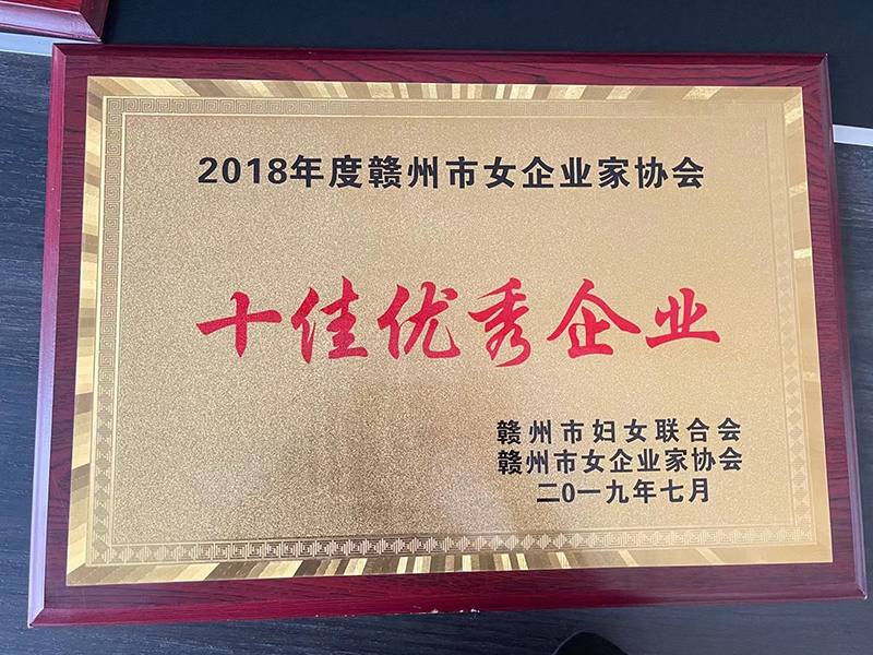 十佳優(yōu)秀企業(yè)